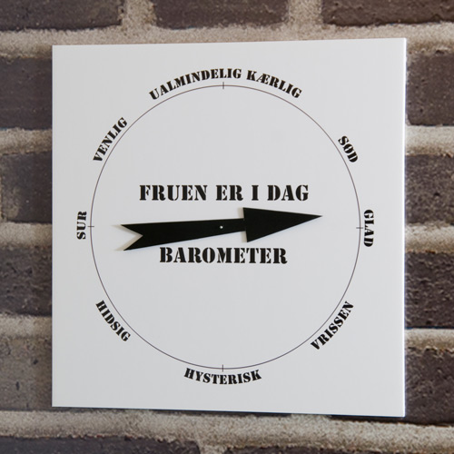Vejrstation Og Vejrsten