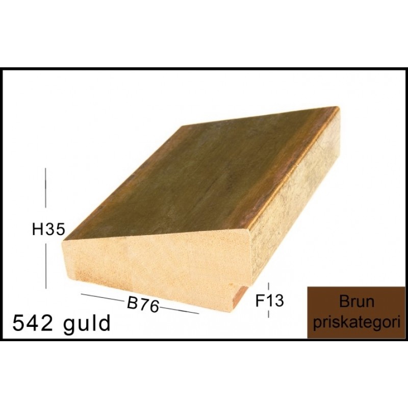 Fotoramme Nr.  542 Guld Special Størrelse