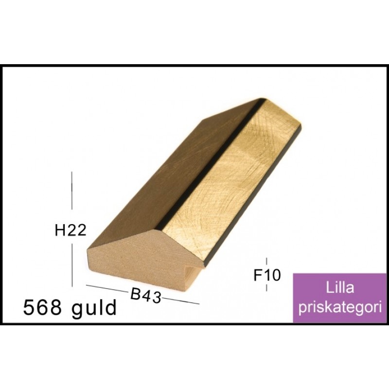 Fotoramme Nr.  568 Guld Special Størrelse