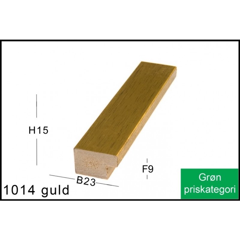 Fotoramme Nr. 1014 Guld Special Størrelse