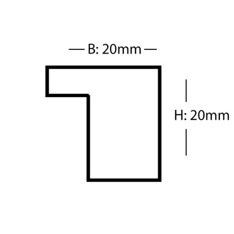 fotorammenr9079115eg-31