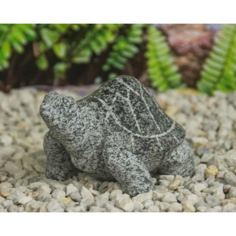 skildpadegrpoleret-33