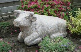 Granit ko. Farve Rosa. L:70 cm 60 kg. Materiale: granit (håndbearbejdet)