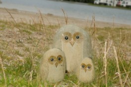 Natur ugler