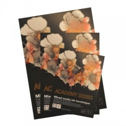 Academy Series Mixed Media Ink Tecchnique